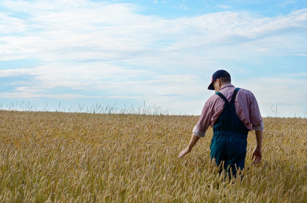 Farmer on River Bottoms: "If I Can't Get Insurance, I Won't Farm It"